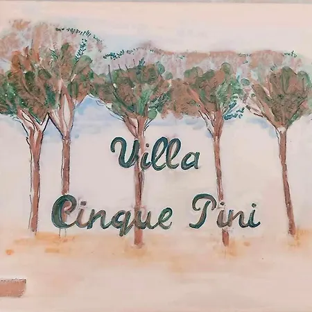 Cinque Pini * 洛科罗通多