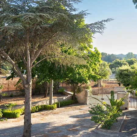 Cinque Pini Locorotondo